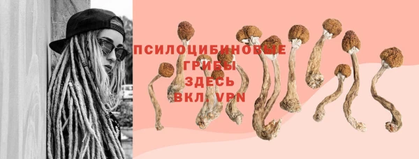 соль ск Белокуриха