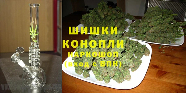 соль ск Белокуриха