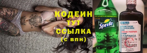 соль ск Белокуриха